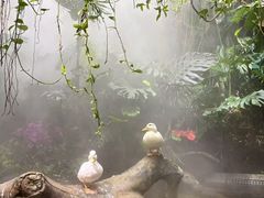 -合肥海洋世界