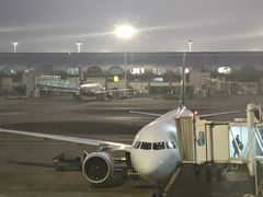 -重庆江北国际机场-T2航站楼
