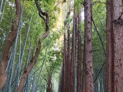 -同里国家湿地公园