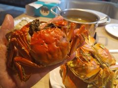 -星伦多自助料理(爱琴海店)