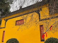 -蓉府金足印象(草市街22分店)