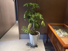 -云领御 • 影院式SPA足道(俊发广场店)