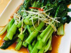 白灼菜心-海岛渔村大酒店(云霄路店)