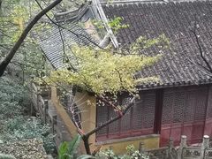 -雨花胜境