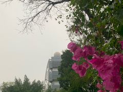 -深圳国际园林花卉博览园