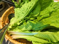 -佬肥猫(七宝宝龙店)