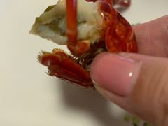 -杨氏青龙虾·羊蝎子(金盛路总店)