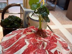 -鸿姐老火锅(花园路店)