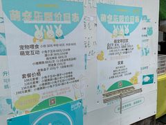 -前小桔亲子创意农场·草莓采摘·露营烧烤