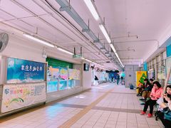 -中环4号渡轮码头