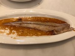 清蒸刀鱼-新花城蟹粉馆(乌鲁木齐店)