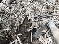 -众神白水涧景区