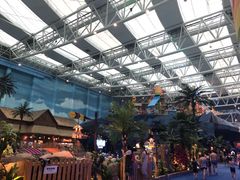 -青岛东方影都融创水世界