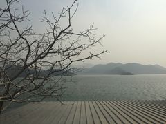 -望湖烤鱼
