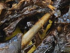 -金元源(新星店)