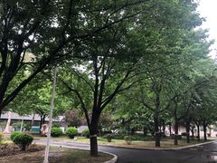 -中国石油大学（北京）(北京西校区)