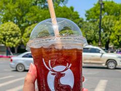 -瑞幸咖啡(芙蓉新天地店)