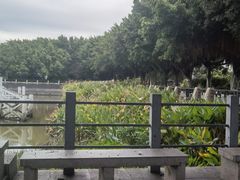 -黄埔古港