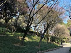 -南山植物园