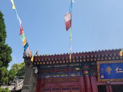 -安多素食(广仁寺路店)