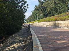 -宝安西湾红树林湿地公园