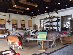 大堂-横沥牛庄(总店)