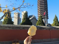 -西海子公园