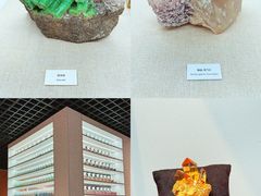 -中国地质博物馆