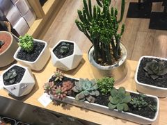 -谷莠子花艺·气球派对·绿植造景·花艺沙龙(金光华广场店)