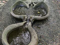 -成都市活水公园