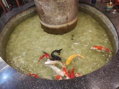 -古莲·影院足道·按摩SPA(水上温泉店)