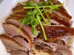 -日日香卤鹅饭店·澄海狮头鹅(澄海店)