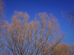 -野鸭湖国家湿地公园