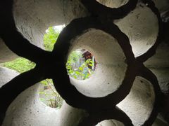 -月湖公园