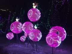 -长春公园(普阳街道)