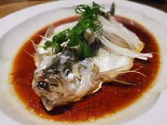 钱湖四宝-朋鱼-宁波柏悦酒店·钱湖渔港