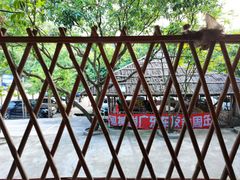 -满記土窑烧鷄波浪山莊