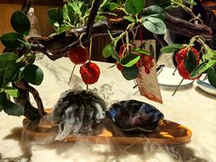 -唐猫庭院·千年陕菜(大唐不夜城店)