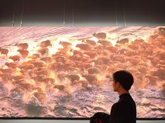 -罗红摄影艺术馆