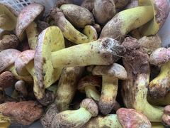 -双喜农庄·菌香园(安居家园店)