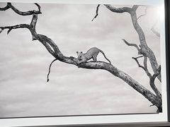 -罗红摄影艺术馆