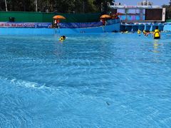 -欢乐水魔方水世界
