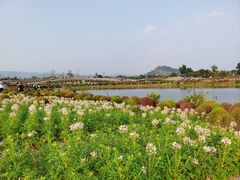 -径山花海