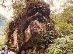 -西岭雪山大飞水景区