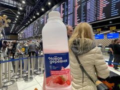 -谢列梅捷沃国际机场