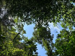 -七仙岭温泉国家森林公园