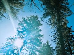 -硗碛藏寨·神木垒景区