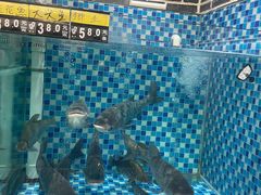 -农汤老店(顺联公园里店)