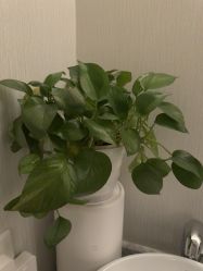 -小楼肌龄美学·皮肤管理