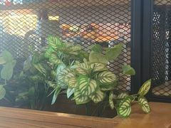 -COSTA COFFEE(上海五玠坊店)